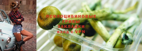 сатива Новодвинск