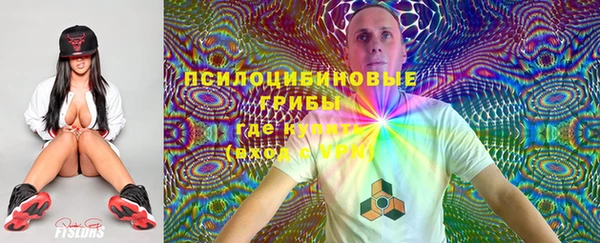 сатива Новодвинск