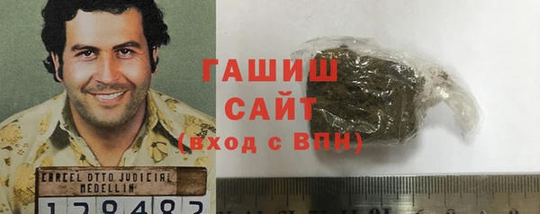 сатива Новодвинск