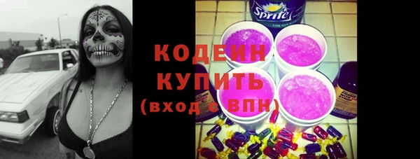 сатива Новодвинск