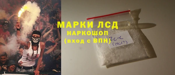 сатива Новодвинск