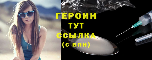 сатива Новодвинск