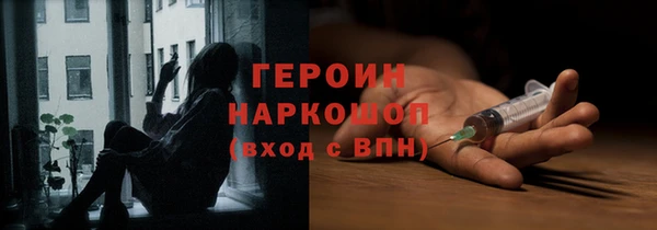 сатива Новодвинск
