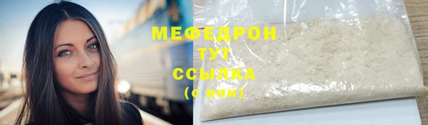 сатива Новодвинск