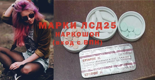 шишки Анива
