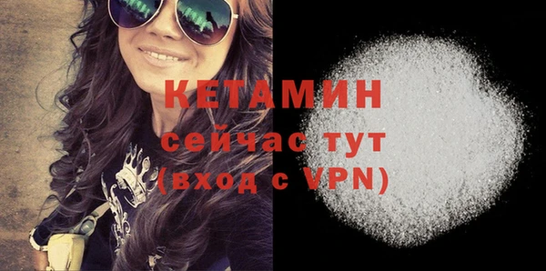 сатива Новодвинск