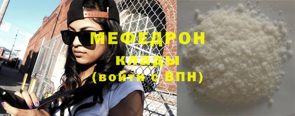 сатива Новодвинск
