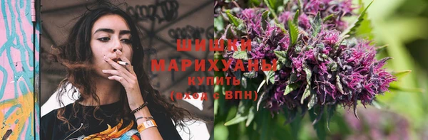 ALPHA PVP Новозыбков