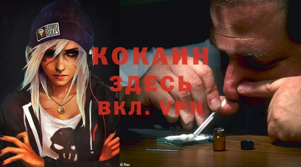 сатива Новодвинск