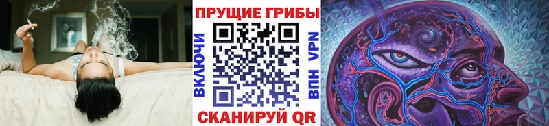 Псилоцибиновые грибы MAGIC MUSHROOMS  Порхов 